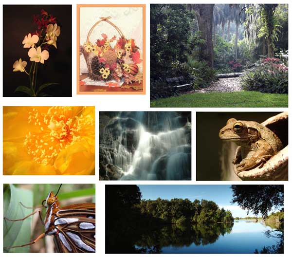 Suzanne Williams Photography